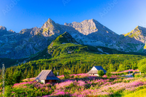 Fototapeta tatry dolina krajobraz zakopane góra
