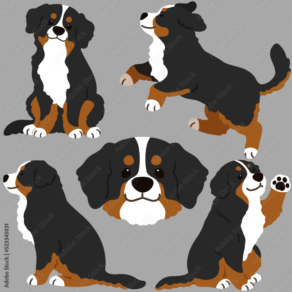 Fototapeta premium Simple and adorable Mountain Dog illustrations flat colored