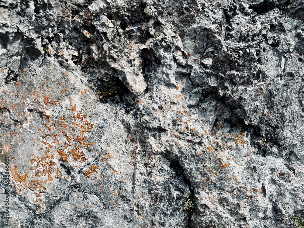 textured rock pattern close-up in macro textured rock pattern close-up in macro