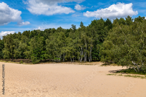 Hamburg  Germany. The nature reserve Boberger Niederung with shifting dunes.