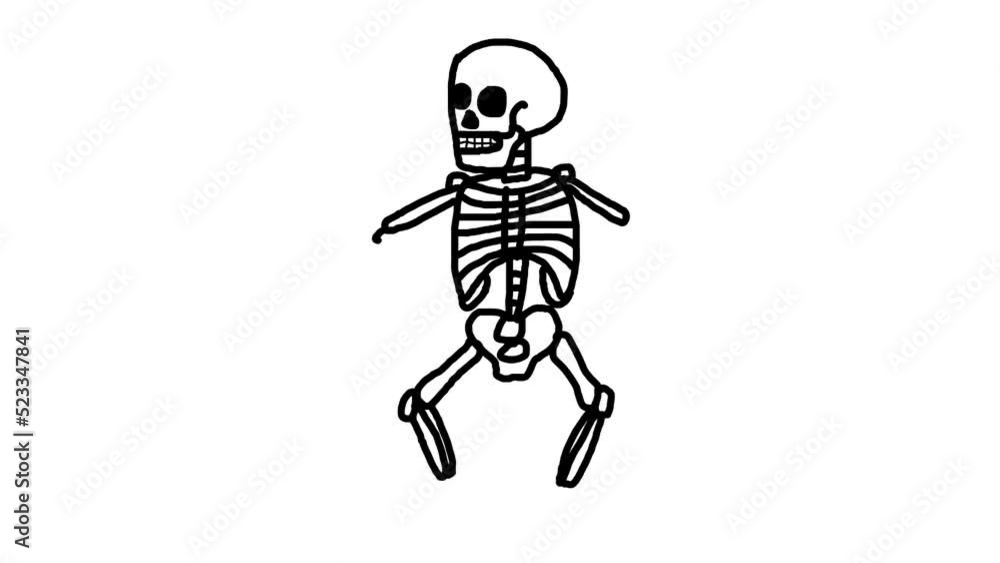 Skeleton Sketch and 2d animation Skeleton Sketch and 2d animation
