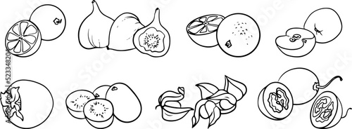 Set of fruits vector black and white hand-drawn drawing