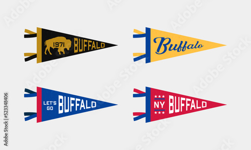 Set of Buffalo sports team pennants. Retro colors labels. Vintage hand drawn wanderlust style. Isolated on white background. Good for t shirt, mug, other identity. Vector illustration.