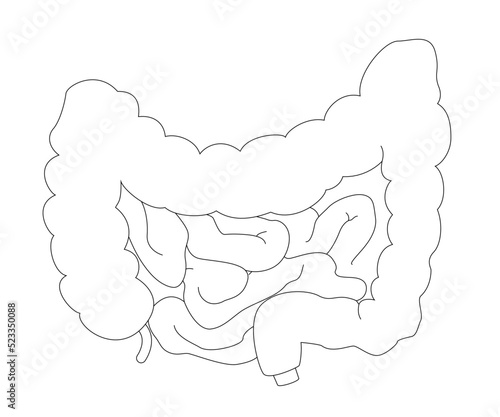 Art & IllustrationMedical outline chart of intestine in realistic style with shadows and highlights. Human anatomy concept for educational or pharmacy use