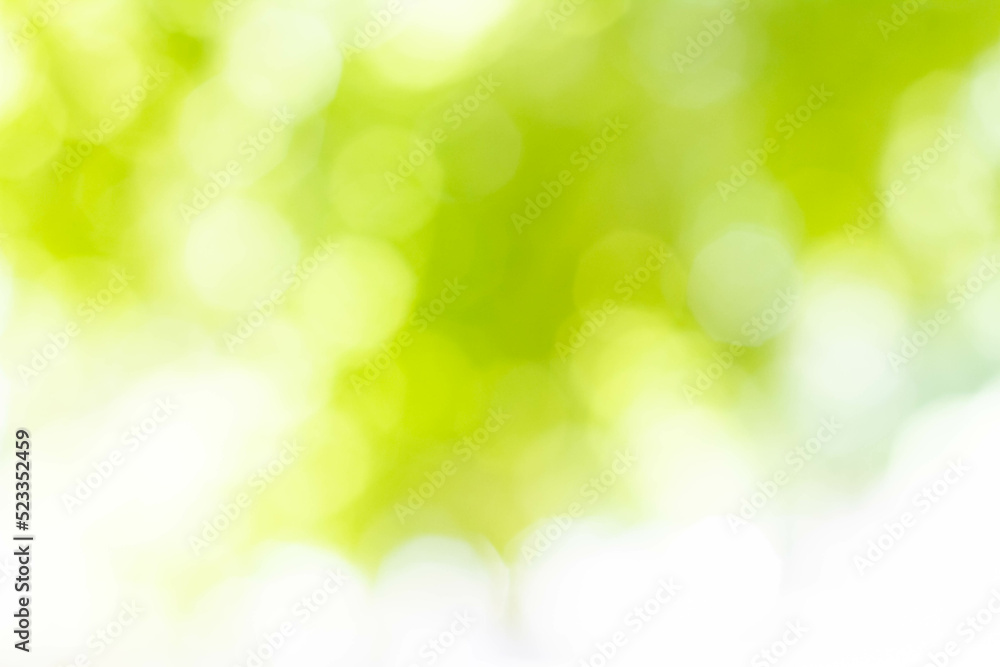 Abstract background. Bokeh in the background. Green color.