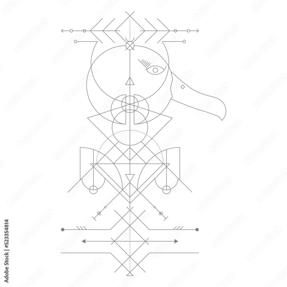 Albatros Geometry