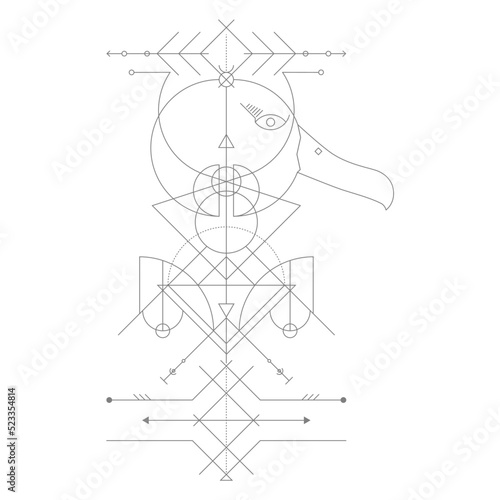 Albatros Geometry