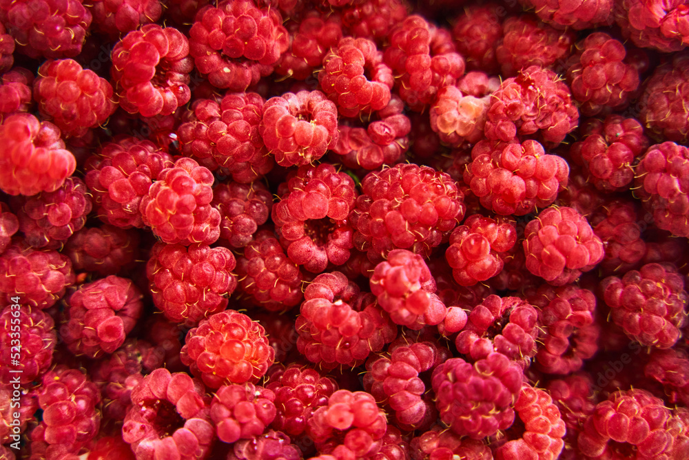 Ripe red raspberries close up. Raspberries background Ripe red raspberries close up. Raspberries background