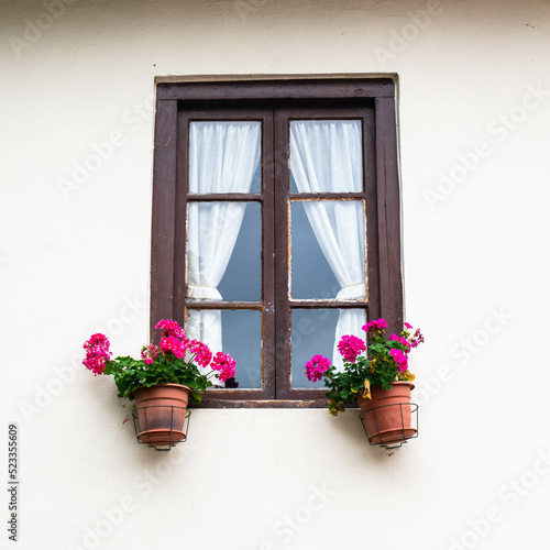 Window frame with colourful flowers