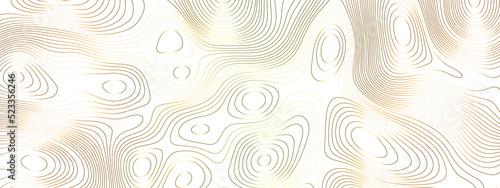 Abstract topographic map background. Geography scheme. Topographic map background concept. .Topographic background and texture, monochrome image. Business concept.Cartography Background. paper texture