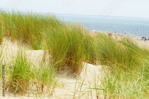 Fototapeta Naklejka Na Ścianę i Meble -  A beautiful viwe on a dune in Maasvlakte Netherlands