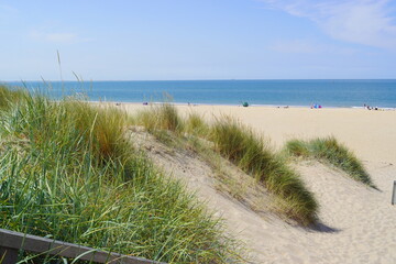 Foto auf Acrylglas Nordsee Sanddünen und Gras am Strand mit der Nordsee im Hintergrund in den Niederlanden  © HüSo