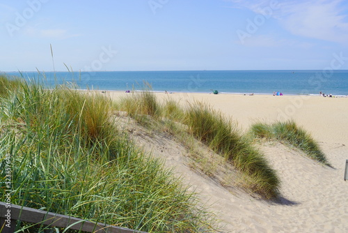 Sand dunes and grass on the beach with the north sea in the back in the netherlands