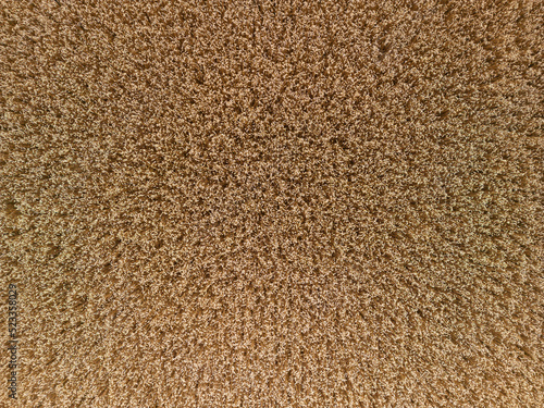 Canvas Print Low level top down birds eye aerial view over a golden wheat field crop ready fo