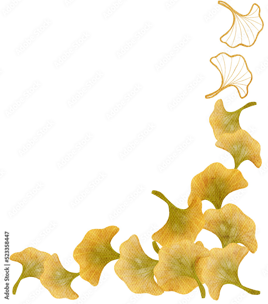 Fototapeta premium Ginkgo biloba watercolor with transparent background