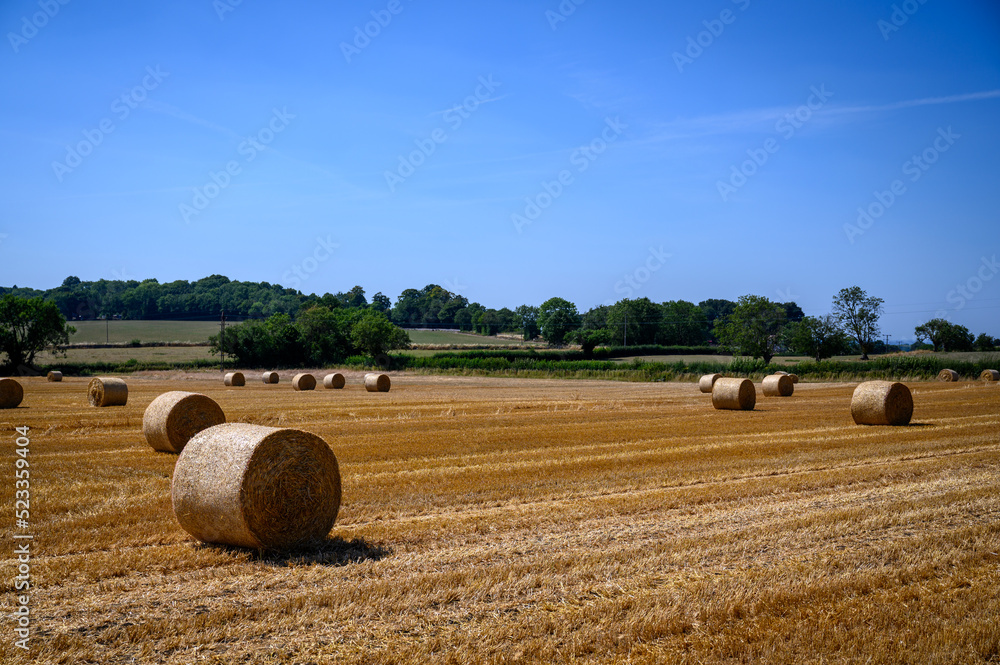 Bales of hay on a farm in the english countryside with clear blue sky