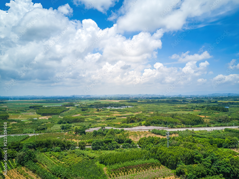 Aerial photography of wild field plants and blue sky and white clouds in Guangxi, China