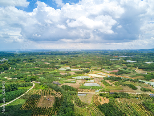 Aerial photography of wild field plants and blue sky and white clouds in Guangxi  China