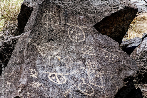 Some of the four hundred petroglyphs in Piedras Marcadas Canyon, part of New Mexico's Petroglyph National Monument.