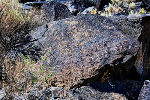 Some of the four hundred petroglyphs in Piedras Marcadas Canyon, part of New Mexico's Petroglyph National Monument.
