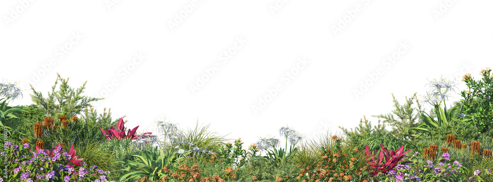 custom made wallpaper toronto digitalShrubs and flower on a transparent background
