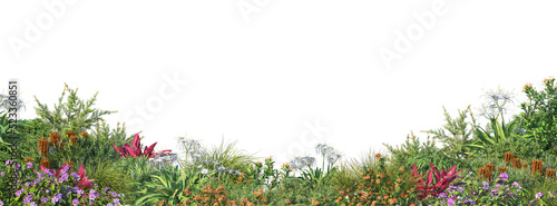 Wallpaper Mural Shrubs and flower on a transparent background
 Torontodigital.ca