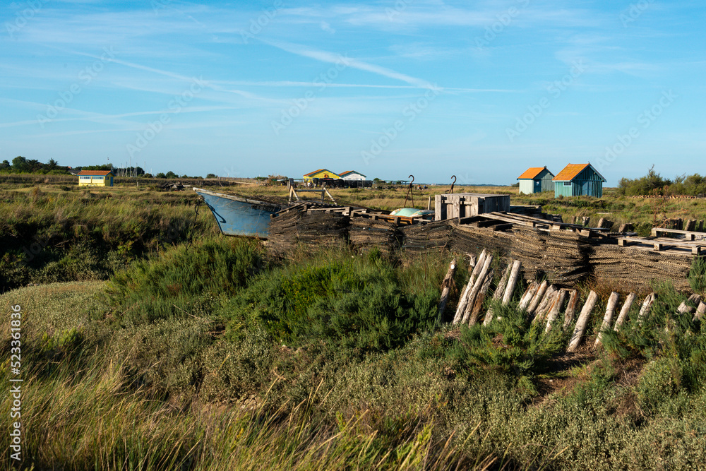 Obione, faux pourpier, Halimione portulacoides, Site ostréicole, Fort Royer, Réserve naturelle maritime, Moêze Oléron, Ile d'Oléron, Charentes Maritimes, 17