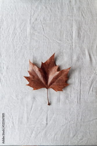 An autumn brown leaf placed on a linen light grey fabric.