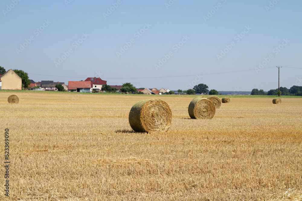 Fototapeta premium Hay bales (hay balls, haycock or haystack) on a farm field. Straw bales on agriculture field. Rural farm land nature, Countryside landscape after harvest.