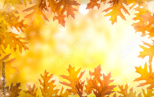 Vibrant fall foliage