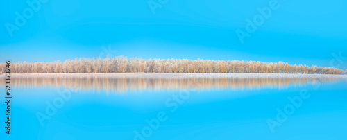 Snow covered fir trees landscape with the forest and a path in winter - Siberia  Russia