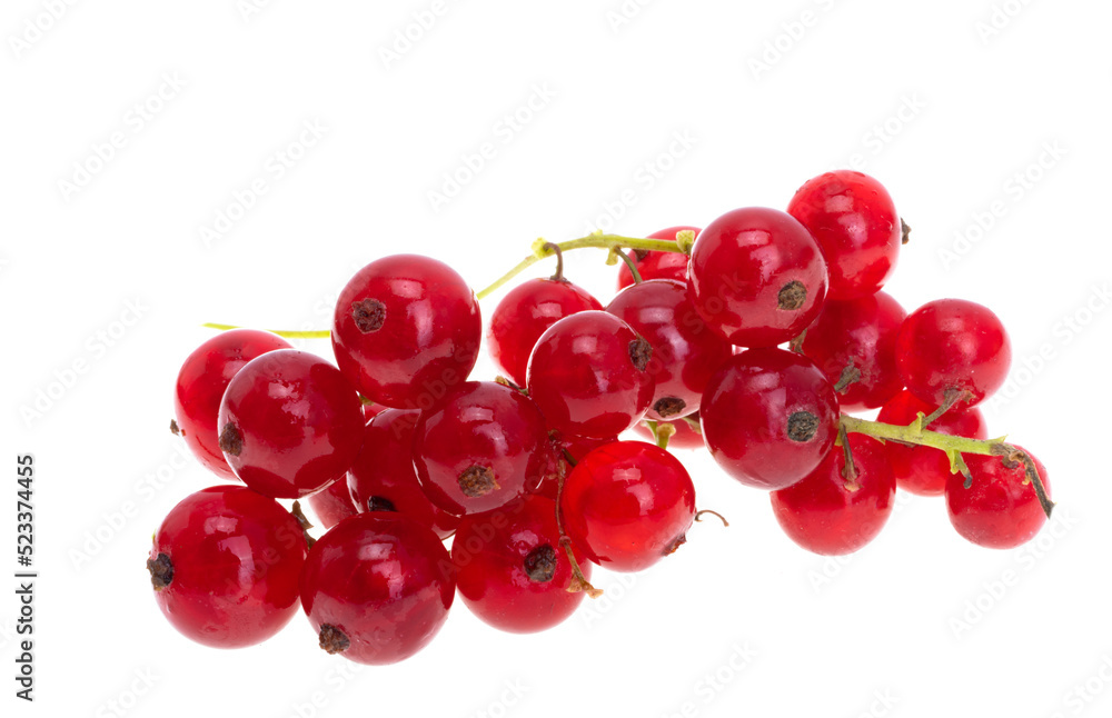 currant isolated