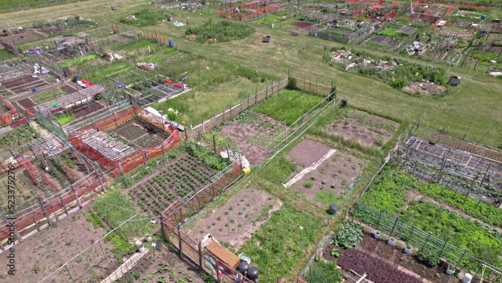 Urban garden care by community patrons, family farming and small gardens for food growing in the city near homes. Growing vegetables and family agriculture in urban area. Aerial view. Urban garden care by community patrons, family farming and small gardens for food growing in the city near homes. Growing vegetables and family agriculture in urban area. Aerial view.