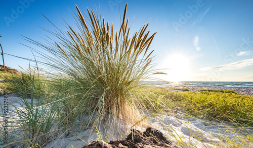Fototapeta Naklejka Na Ścianę i Meble -  küste