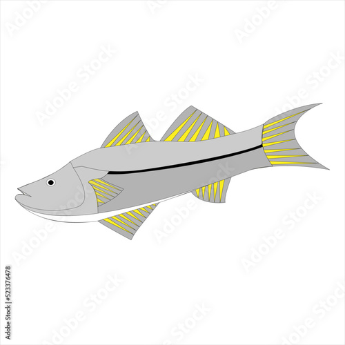 Peces de mar y de rio Pez Robalo nombre científico Centropomus undecimalis