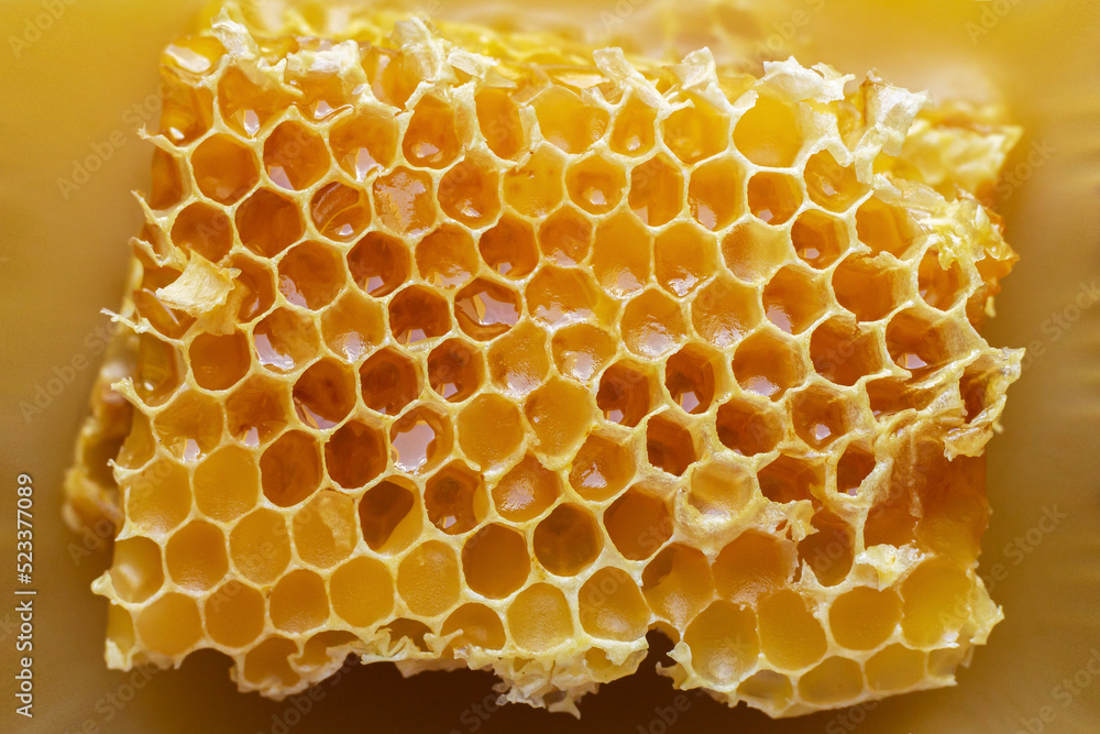 Texture of honeycomb wax with honey top view Texture of honeycomb wax with honey top view