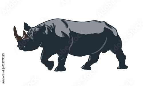 Vector color illustration of rhino isolated on white background, grey rhinoceros 