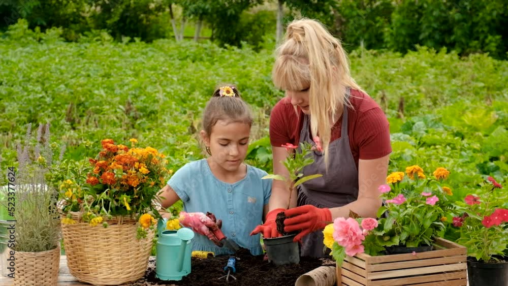 Mother and daughter are planting flowers in the garden. Selective focus. Mother and daughter are planting flowers in the garden. Selective focus.