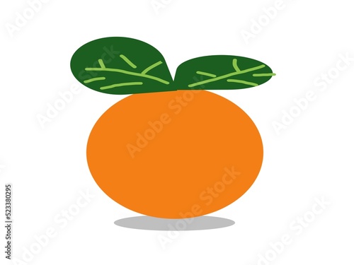 orange fruit illustration
