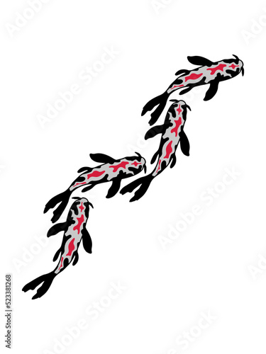 Viele Koi Fische Nishikigoi 