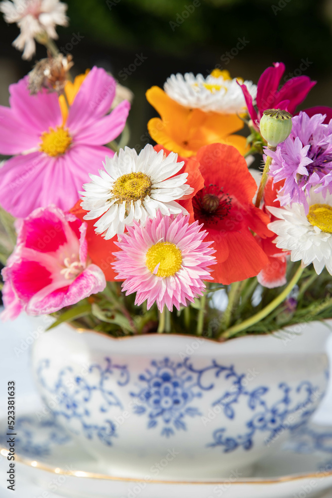 Obraz premium The beautiful Danish summer flowers