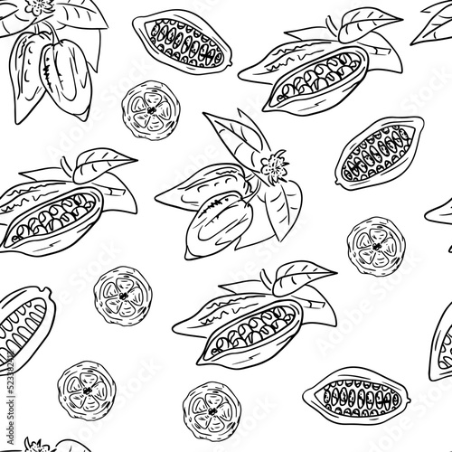 Seamless pattern hand drawing cocoa beans. Cacao branch with fruits leaves and flowers hand drawn illustration.