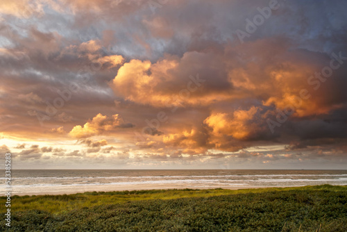 View to the ocean at sunset. The clouds are illuminated by the sun. North Holland dune reserve, Egmond aan Zee, Netherlands.