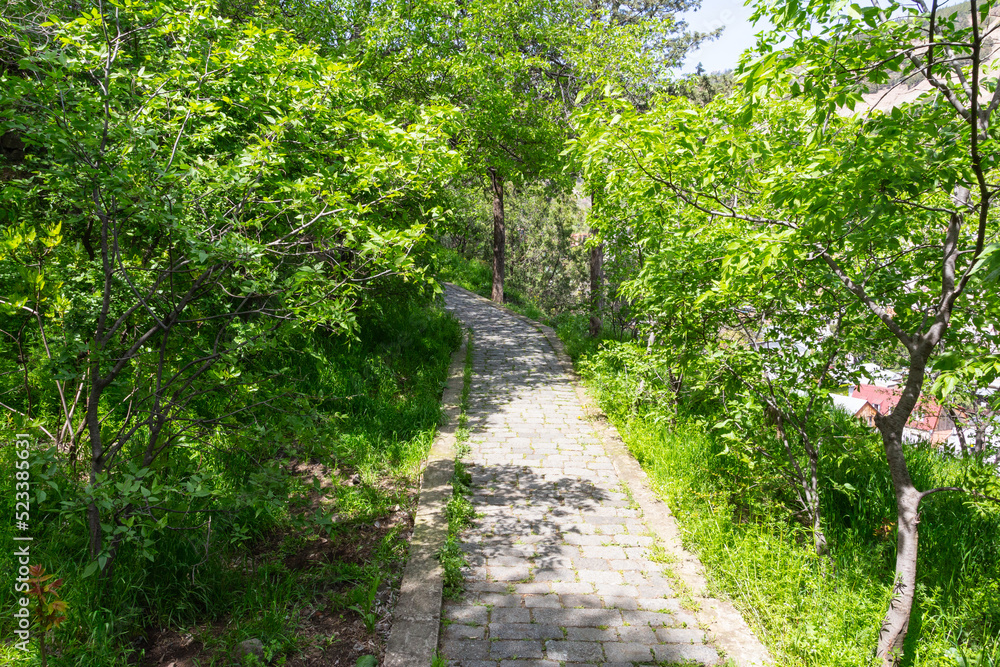 Path in the park of the city of Tbilisi. Georgia country