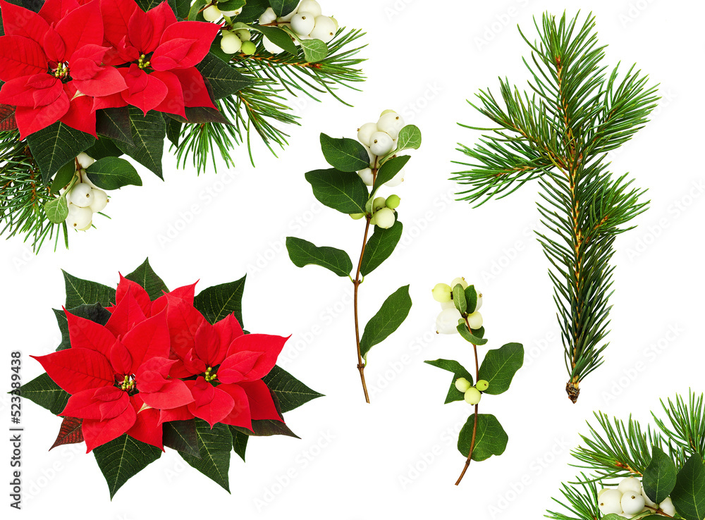 Christmas corner floral arrangements and set of elements isolated Christmas corner floral arrangements and set of elements isolated