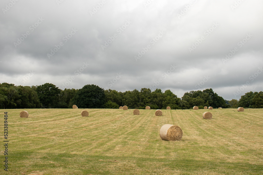 Bales of straw in the countryside.