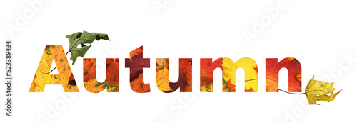 Text AUTUMN with colorful l...