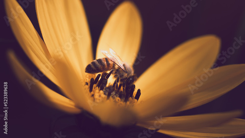 Wake up and smell the flowers