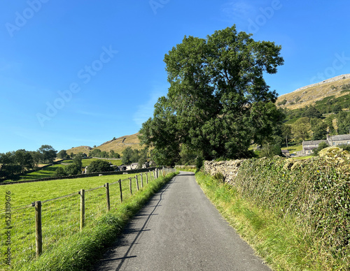 Rural landscape  with a country road  wild plants  and hills near  Austwick  UK