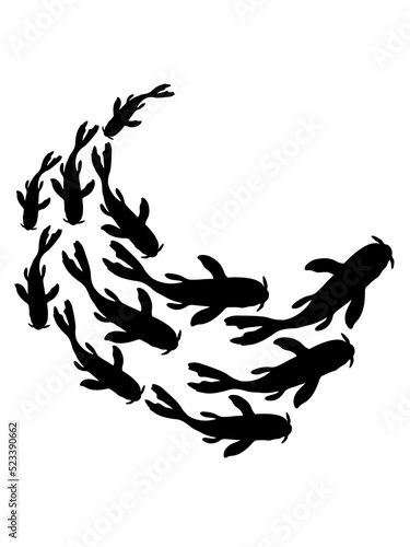 Schwarm Silhouette Koi Fische 